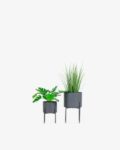 Blomsterstander sæt Grå