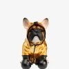 Boxing dog sparegris Pynt