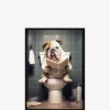 Bulldog på toilet galleri Galleri