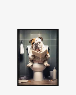 Bulldog på toilet galleri Galleri