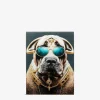 Fashion dog glas galleri Galleri