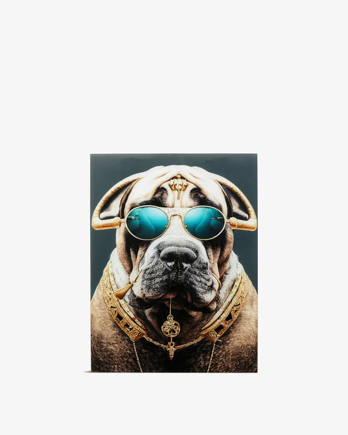 Fashion dog glas galleri Galleri