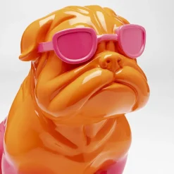 Fashion dog Orange