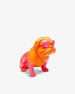 Fashion dog Orange