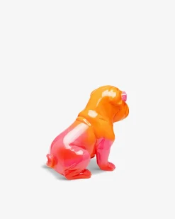 Fashion dog Orange