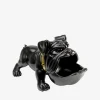 Hungry dog Sort