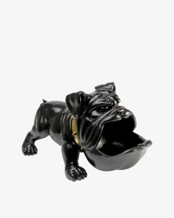 Hungry dog Sort