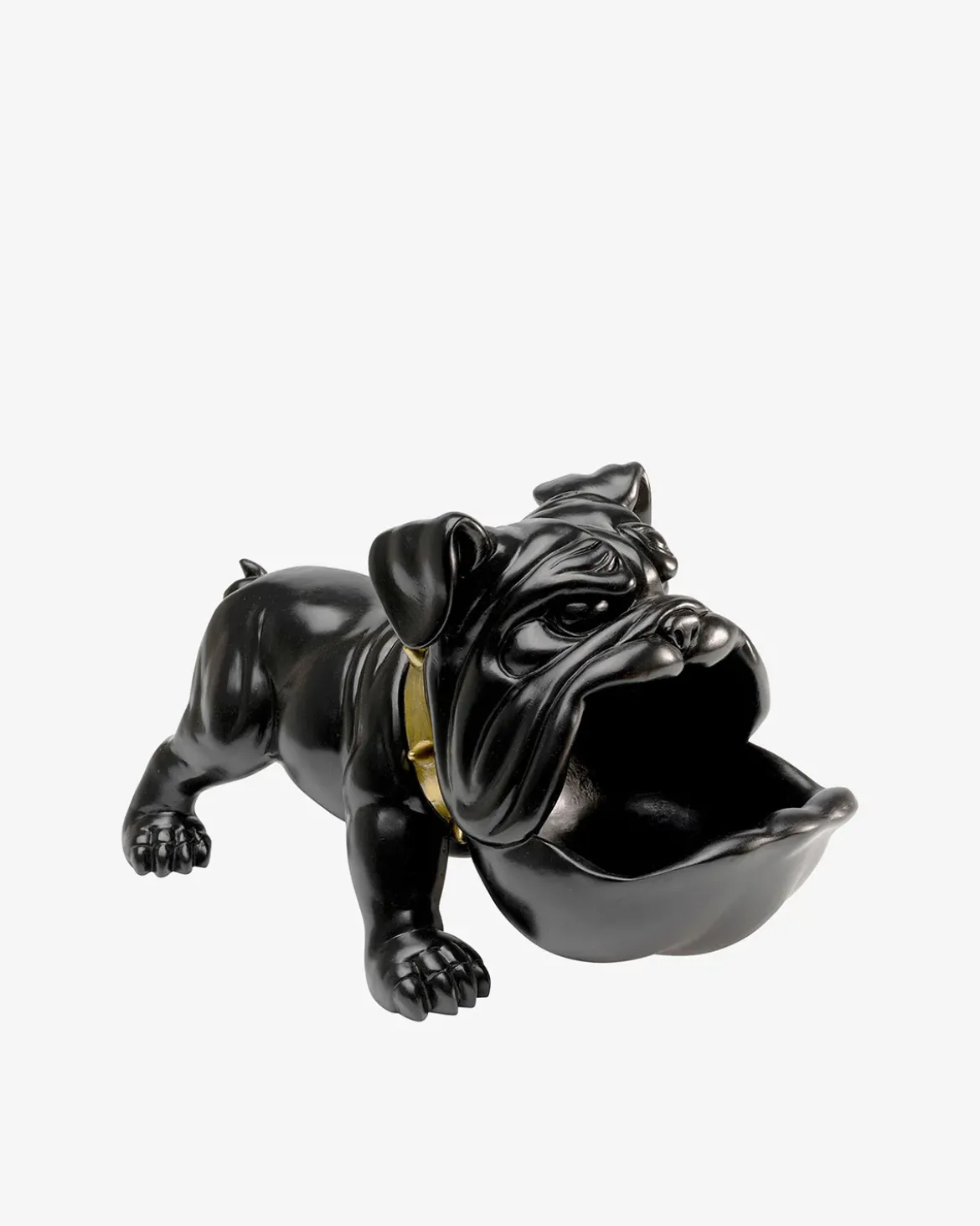 Hungry dog Sort