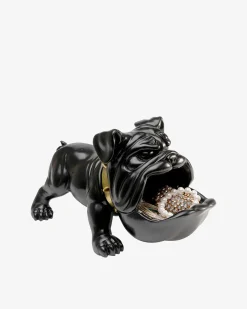 Hungry dog Sort