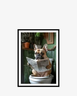 Mops på toilet galleri Galleri