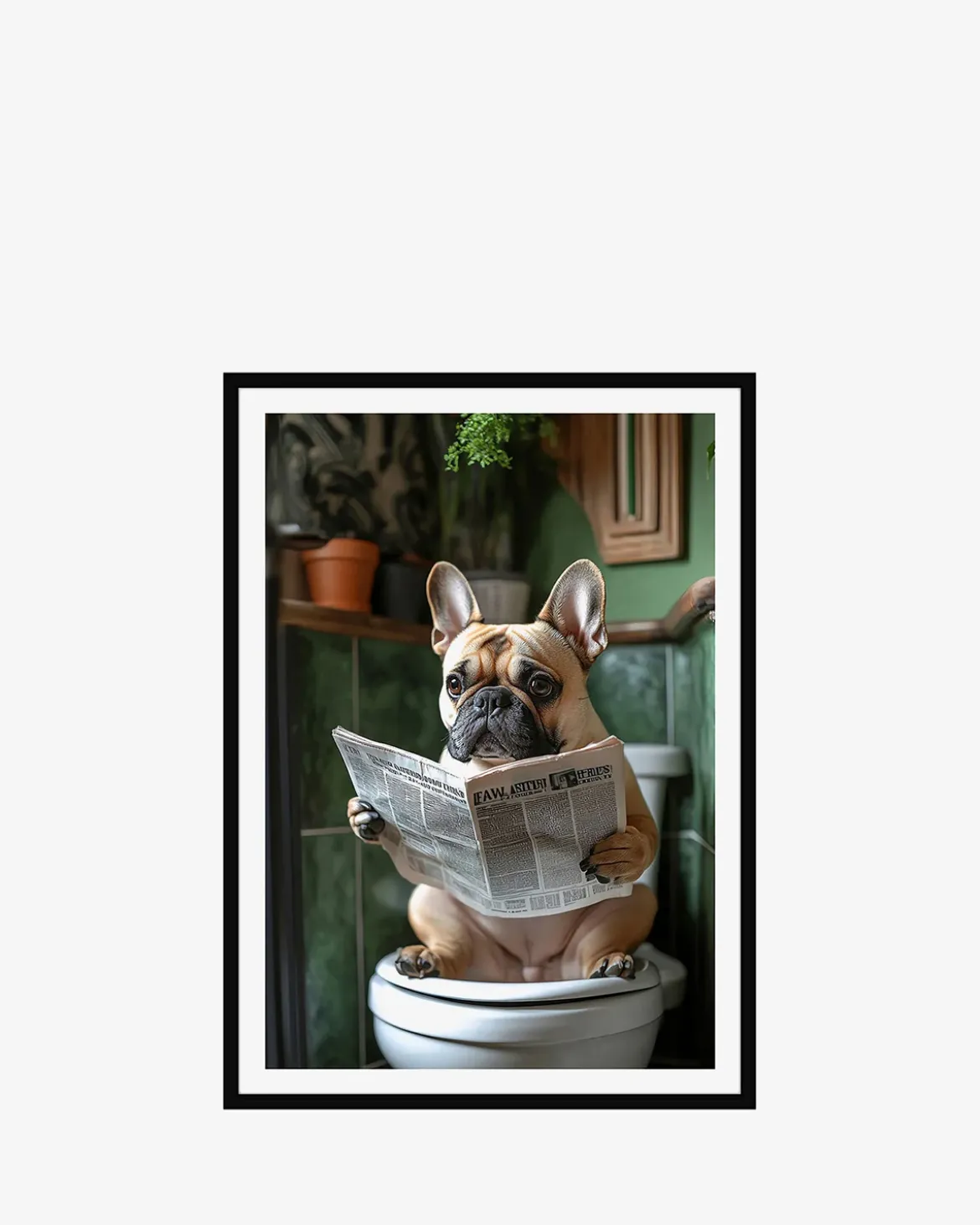 Mops på toilet galleri Galleri