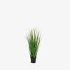 Poa grass Pynt