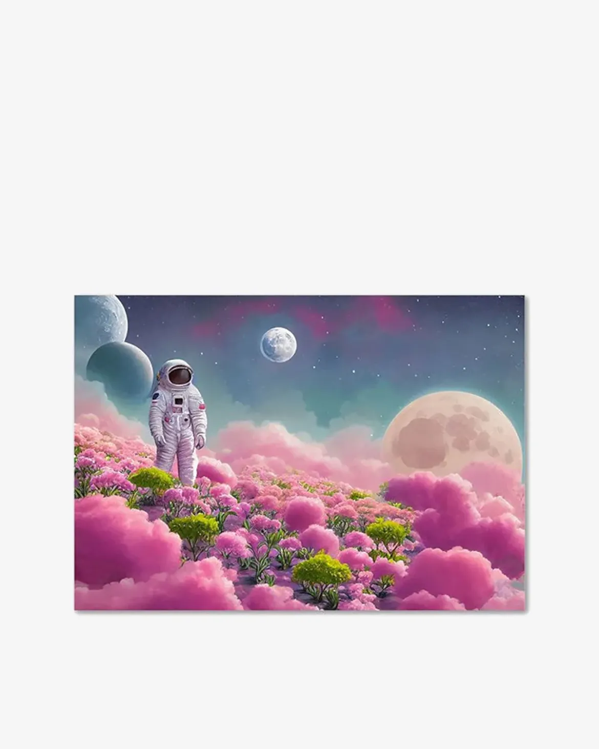 Space galleri Galleri