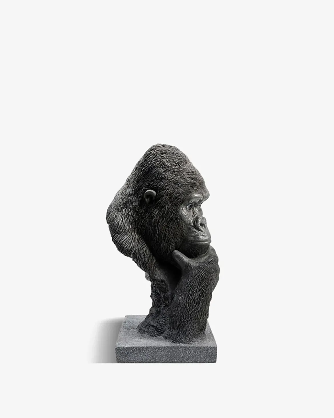 Thinking gorilla Buste